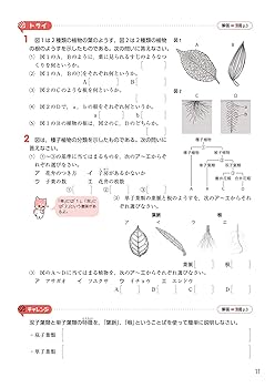 チャート式シリーズ 中学理科 1年 準拠ドリル | 数研出版編集部